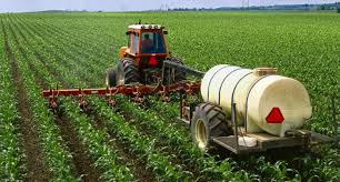 Veštačka đubriva, važan dodatak u prehrani biljaka | Seoski Poslovi -  Portal o poljoprivredi