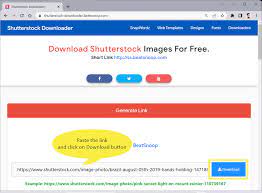 shutterstock images without