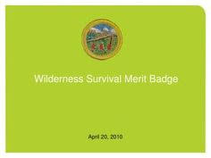 46 Best Merit Badges Images In 2019 Badge Badges Lapel Pins