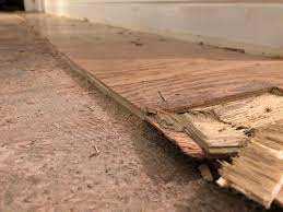 how to remove glue down wood flooring