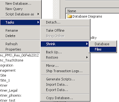 shrink sql server databases for