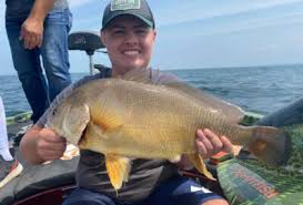 freshwater drum how to catch drum