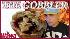 wawa hot turkey gobbler review
