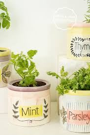 Quirky Herb Planters For A Sunny