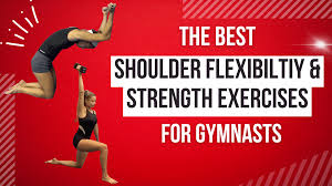 gymnastics shoulder flexibility