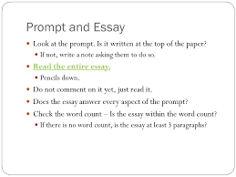 articles review for   different seperate papers for  th  th essay    