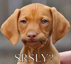 Image result for seriously meme