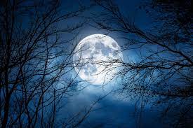 Pleine Lune Septembre 2022 - Pleine lune 2022 : quelle date de la prochaine en septembre ?
