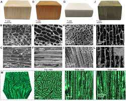 Bioinspired Polymeric Woods Science Advances