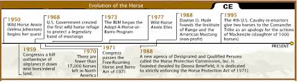 Wild Horses Evolution Timeline Netnebraska Org