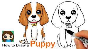 to draw a er spaniel puppy dog easy