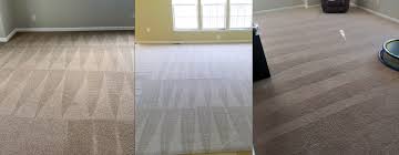 dry hypoallergenic carpet cleaning