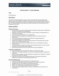 Create Project Manager Roles And Responsibilities Resume Project