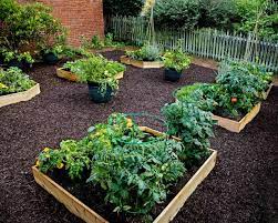 How To Fill Your Raised Garden Bed