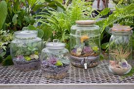 Kilner Jar Terrarium Kilner