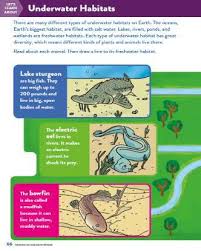 See more ideas about habitats, animal habitats, science activities. Homes Resources For Teachers Grades K 12 Teachervision