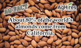Who is the biggest almond producer?