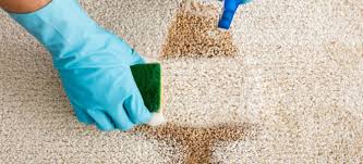 how to clean carpet using bleach