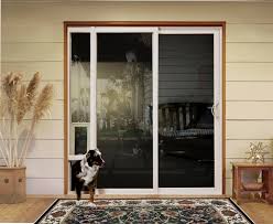30 cool and classy pet door ideas