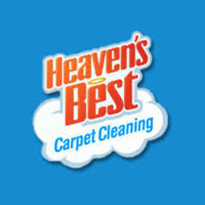 12 best aurora carpet cleaners