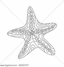 We hope your kid enjoys free printable starfish coloring pages online as much as we enjoyed collating it for him. Underwater World Vector Photo Free Trial Bigstock