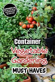 Container Vegetable Gardening Must