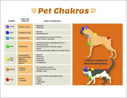 Laminated Dog Cat 7 Chakras Charts Pet Reiki Hand