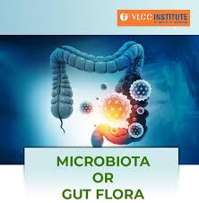 microbiota or gut flora vlcc insute