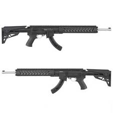 ruger 10 22 accessories on