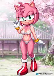 Rule34 - If it exists, there is porn of it  bbmbbf, palcomix, amy rose   6749257