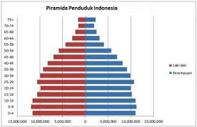 Dari segi kepadatan penduduk, malaysia mencatatkan 99 orang bagi setiap kilometer persegi pada tahun. Piramida Penduduk Fungsi Cara Pengertian Macam Expansif
