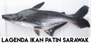 Specialty of palembang city, south sumatra. Lagenda Dan Sebab Kenapa Melayu Sarawak Tidak Makan Ikan Patin