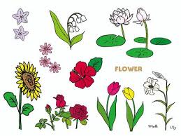 free vectors various flowers
