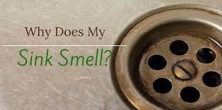 Why Does My Sink Smell Mike Diamond