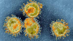 Cele mai periculoase 12 virusuri din lume | Digi24