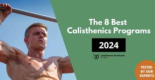 the 8 best calisthenics programs which