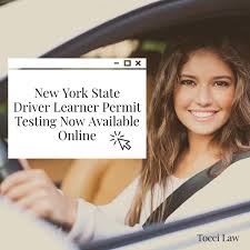 the nys driver learner permit test is