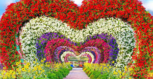 miracle garden tickets with round trip