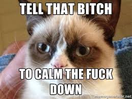 Tell that BITCH To calm the fuck down - Angry Cat Meme | Meme ... via Relatably.com