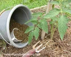 rabbit manure natural pellet fertilizer