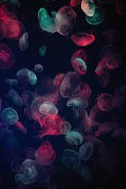 500+ Jellyfish Pictures [HD]