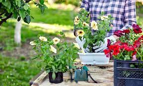 Container Garden Ideas The Home Depot