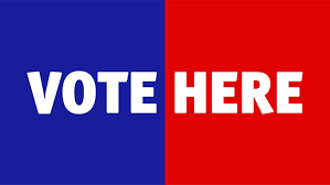 Comal Residents Can Vote at Any County Polling Location on March 1 | My  Canyon Lake