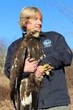 what-is-the-lifespan-of-a-golden-eagle