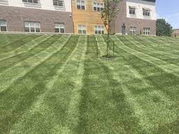 It is normally present in all green areas, whether private or private. Commercial Lawn Care Landscape Irrigation Drainage Snow Services