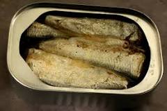 are-there-organs-in-canned-sardines