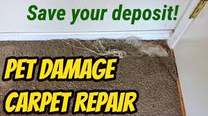 pet damage carpet repair you