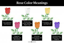 symbolism of diffe color roses