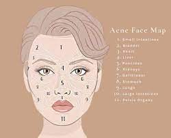 face mapping what do your breakouts