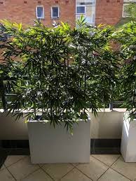 Artificial Plants Used For Screening Plants